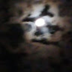 Meet your Posher, Brit